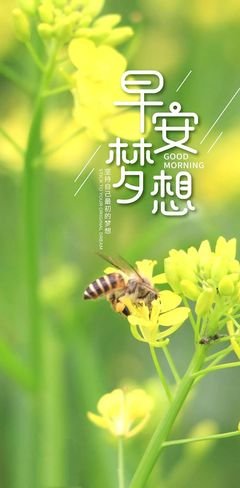 如果，，，，经典的句子