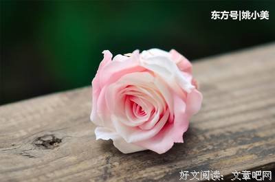 先看清这种一戳就破的夫妻关系，你才明白未来究竟怎么走！（现场