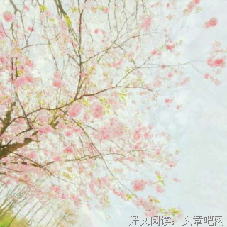 很少提到你，但却最想你