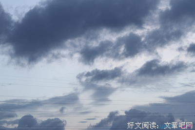 关于我喜欢的美句的句子