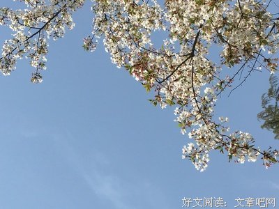 《炊烟.》的句子