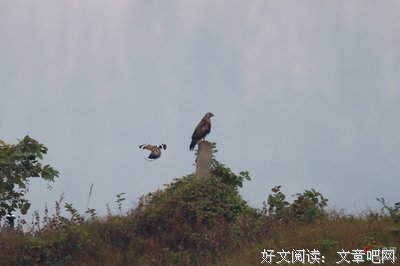 擦身而过格言警句