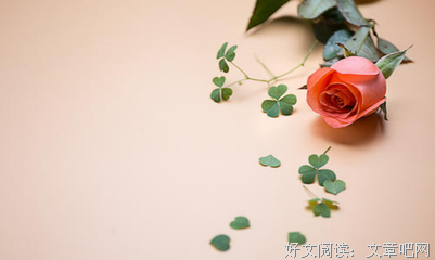 关于莹莹的唯美语录