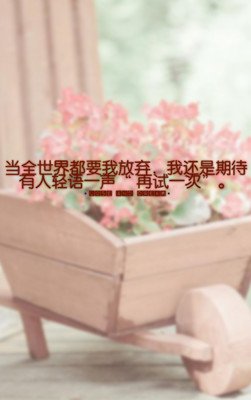关于梦的句子