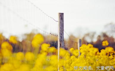 不会谈恋爱的人，都给我看这部剧啊！