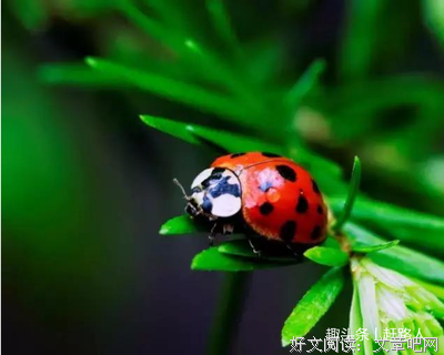 完美经典的句子