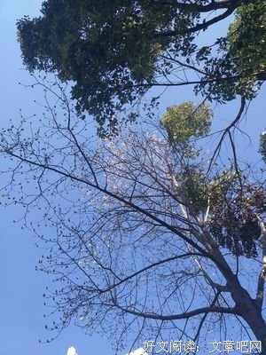 关于天寒地冻的语句