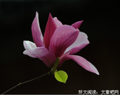 俊郎的名言_关于俊郎的名言