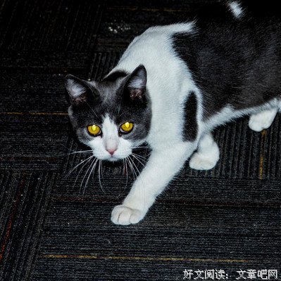 关于吕洞宾的格言