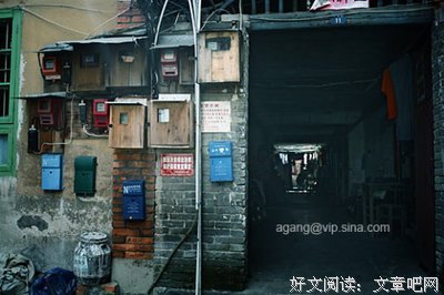 15条关于阿纲的经典语句