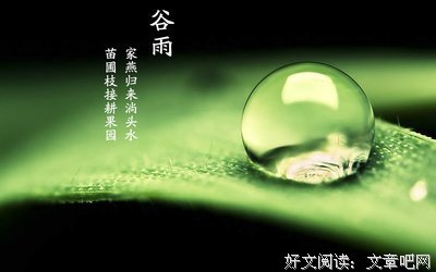 关于赌的句子