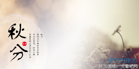 关于nooooooooob的句子