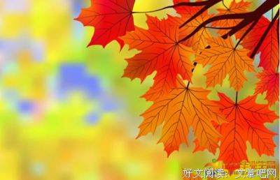 关于轮回夫笑起的优美句子