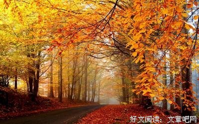 时光 静美