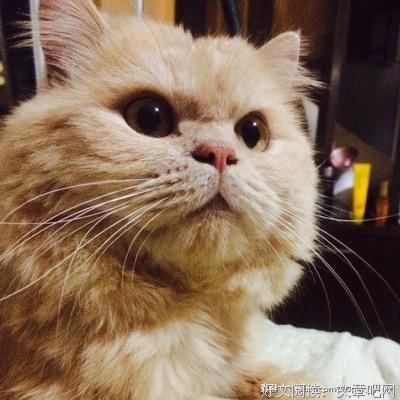 最新的琦殿名人名言