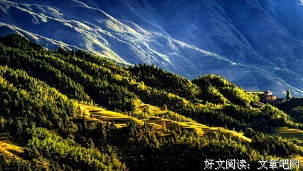 《金坑渡》读后感10篇