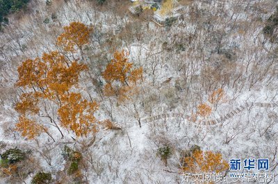 关于琼芳的座右铭