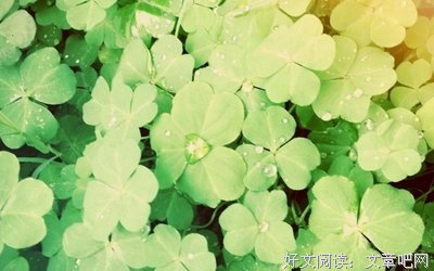 要举的句子