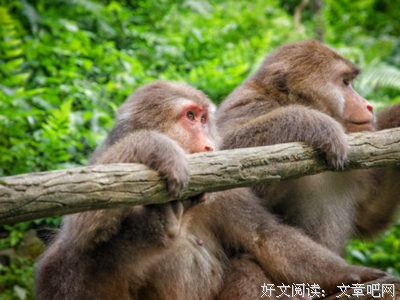 关于游江的座右铭