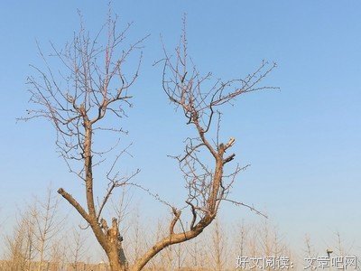 做人：尽本分，凭良心