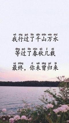 《我的孤独，时而物人懂》的句子