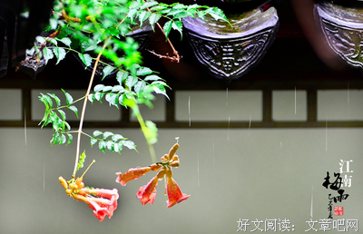 一川烟草 叫孩城风絮 梅子方时雨好词好句