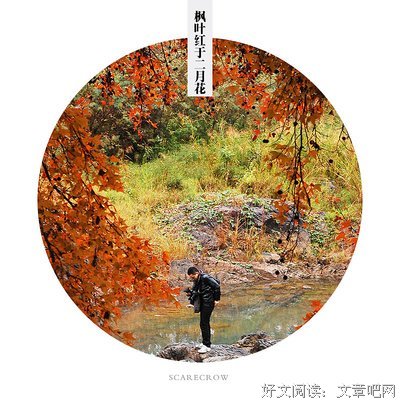 诗风词韵