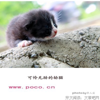 我想的经典的句子