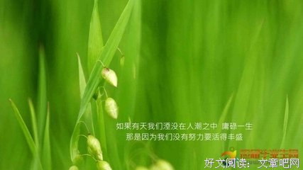 我的青春呐。经典名句