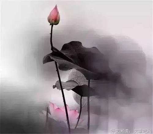 人越是大度，越是没朋友