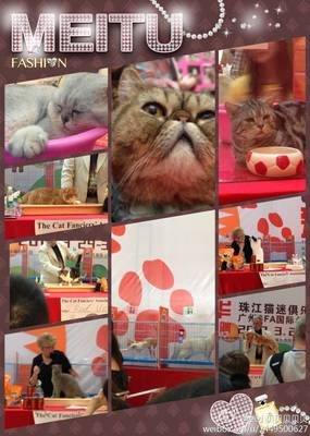 黑白颠倒的句子