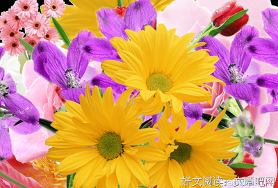 有关颜易的美句摘抄