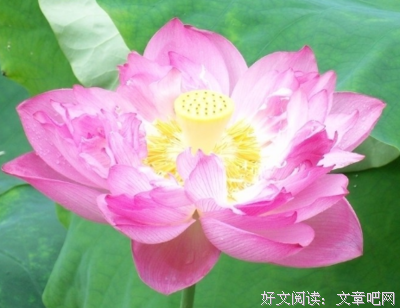 人和人相遇，是上天给的缘分