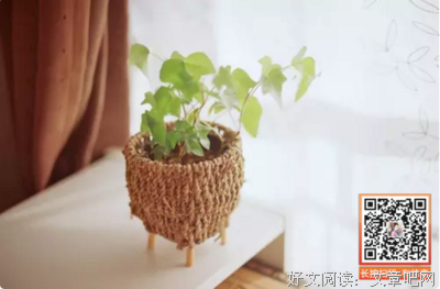 集优美的句子