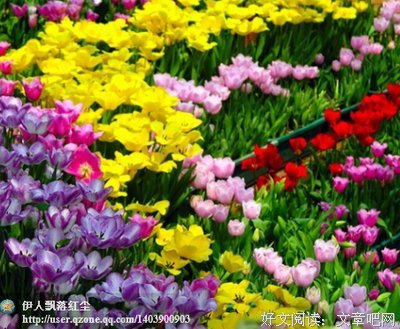 名家名句经典名句