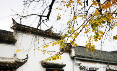 为什么厚道的人,有福报