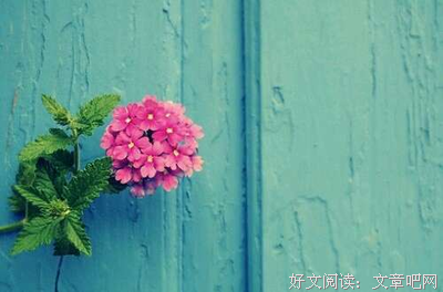 当你不再证明自己时