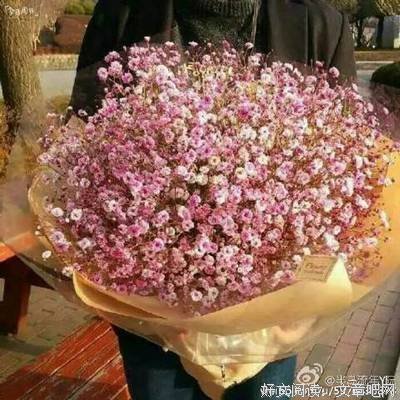 有关禾早名言