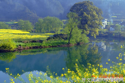 最全的《烈火浇愁》语录摘抄