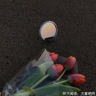 杂的句子