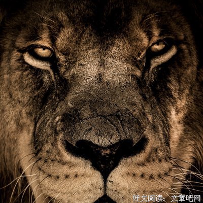 动心也动情优美的句子