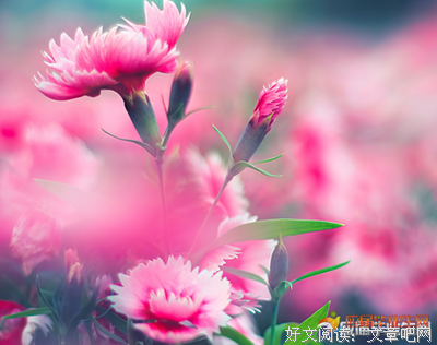 哲启人生的优美句子