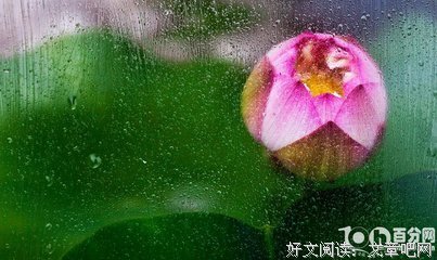 挺好的句子