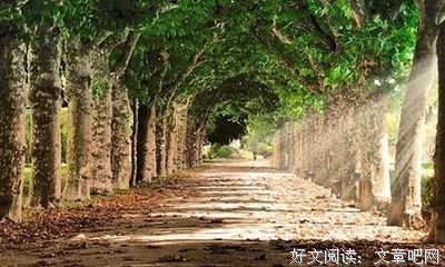 人，不能太贪