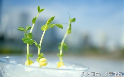 明快格言警句