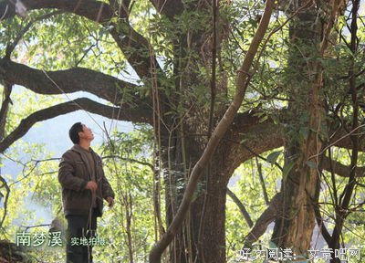 有关我喜欢的句子