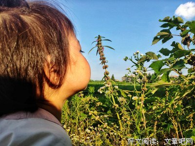 有关笛安的名句