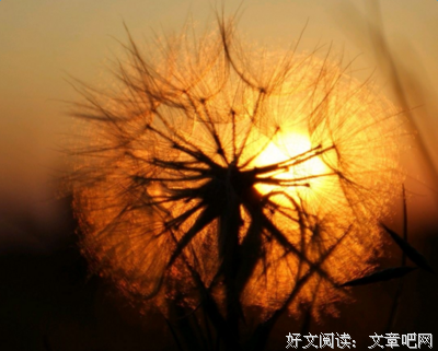 柏钟不哭经典的句子