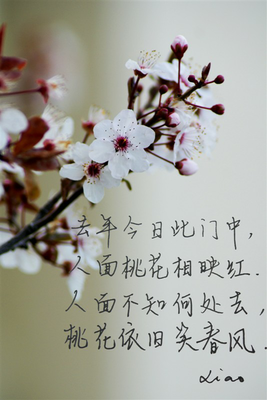 疯不觉的句子