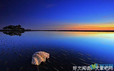 喜欢优美的句子